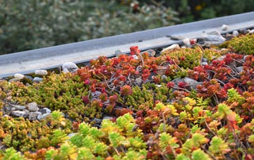 the cost of Woolsbridge green roof installation