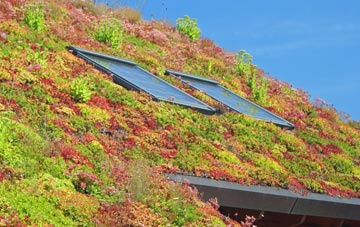 Woolsbridge living roof systems