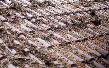 Woolsbridge roof cleaning companies