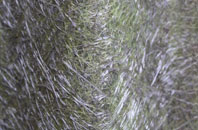 Woolsbridge fibreglass roof work